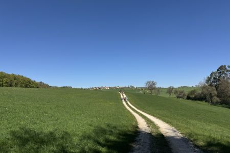 IMG_6540.JPEG
